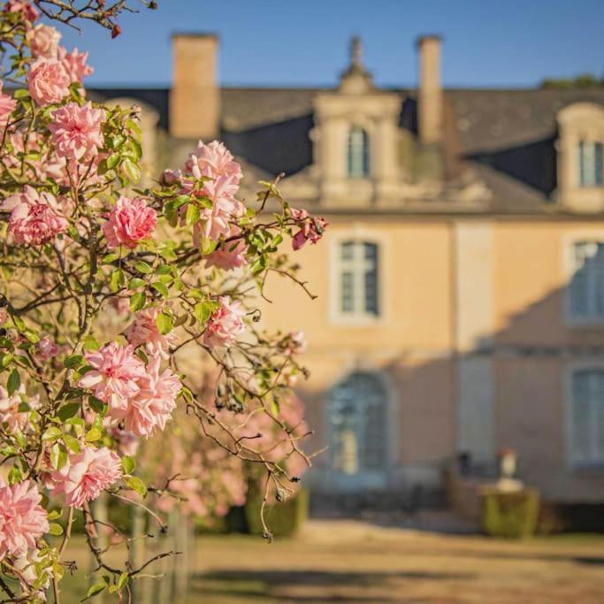 Chateau D'Ardenay Sur Merize Exterior foto
