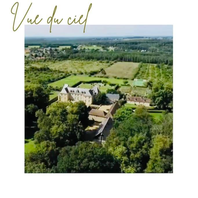 Chateau D'Ardenay Sur Merize Exterior foto