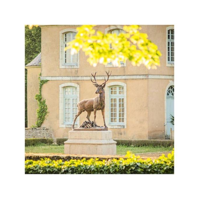 Chateau D'Ardenay Sur Merize Exterior foto
